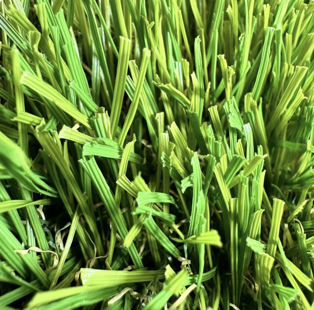 Close-up of turf