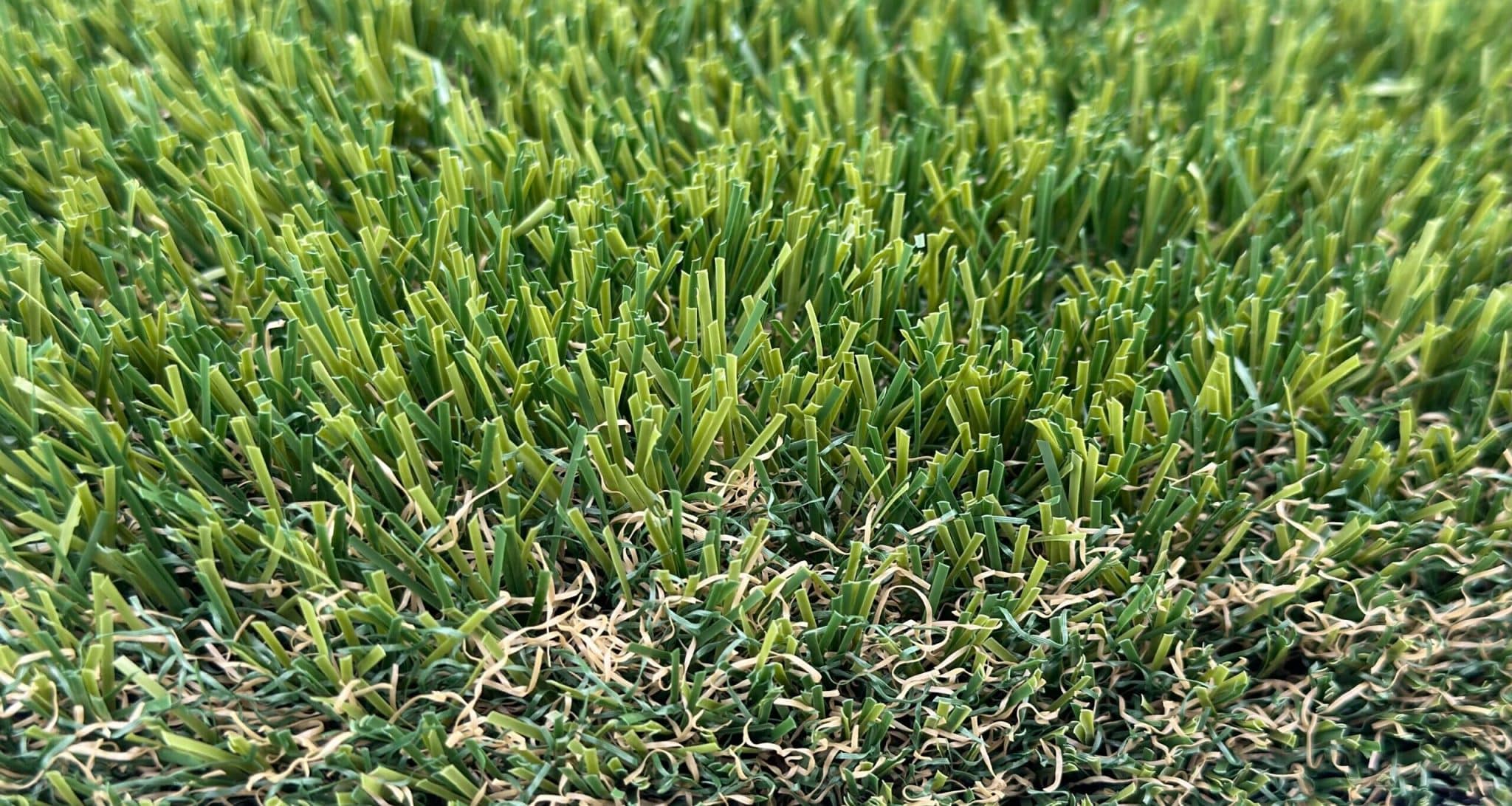 Turf in use