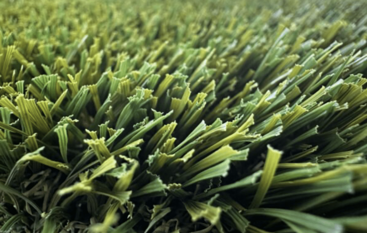 Close-up of turf