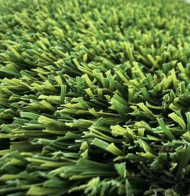 Close-up of turf