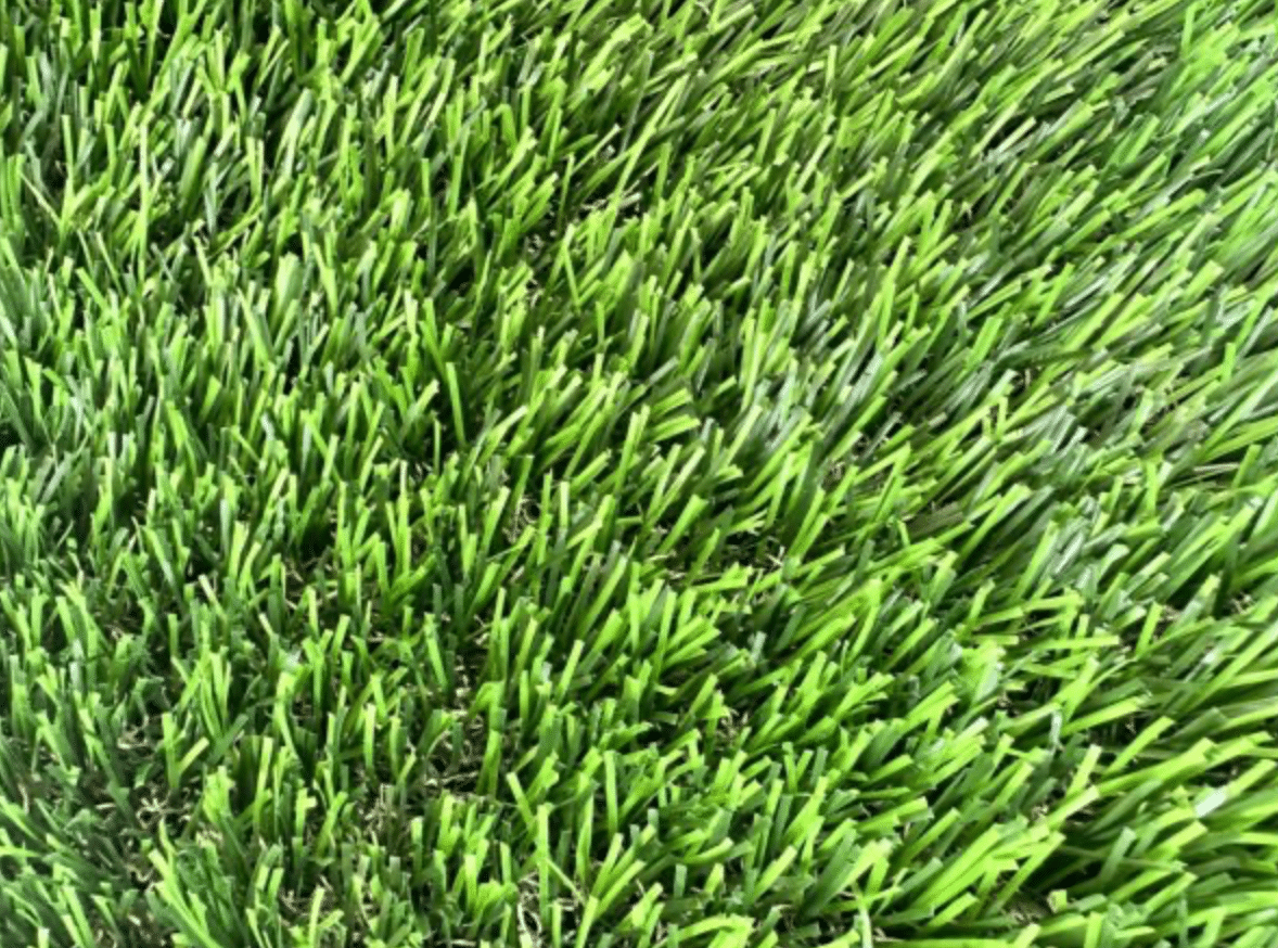 Close-up of turf