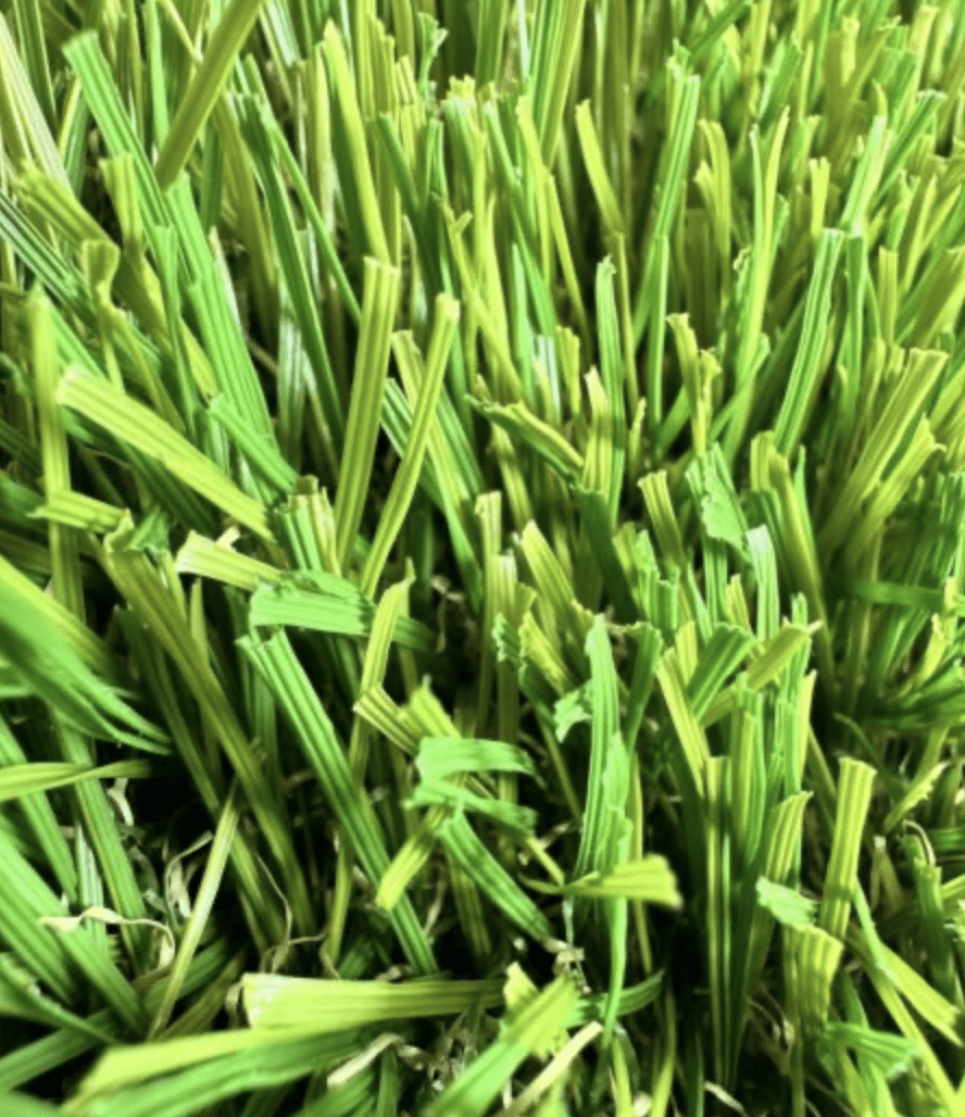 Close-up of turf
