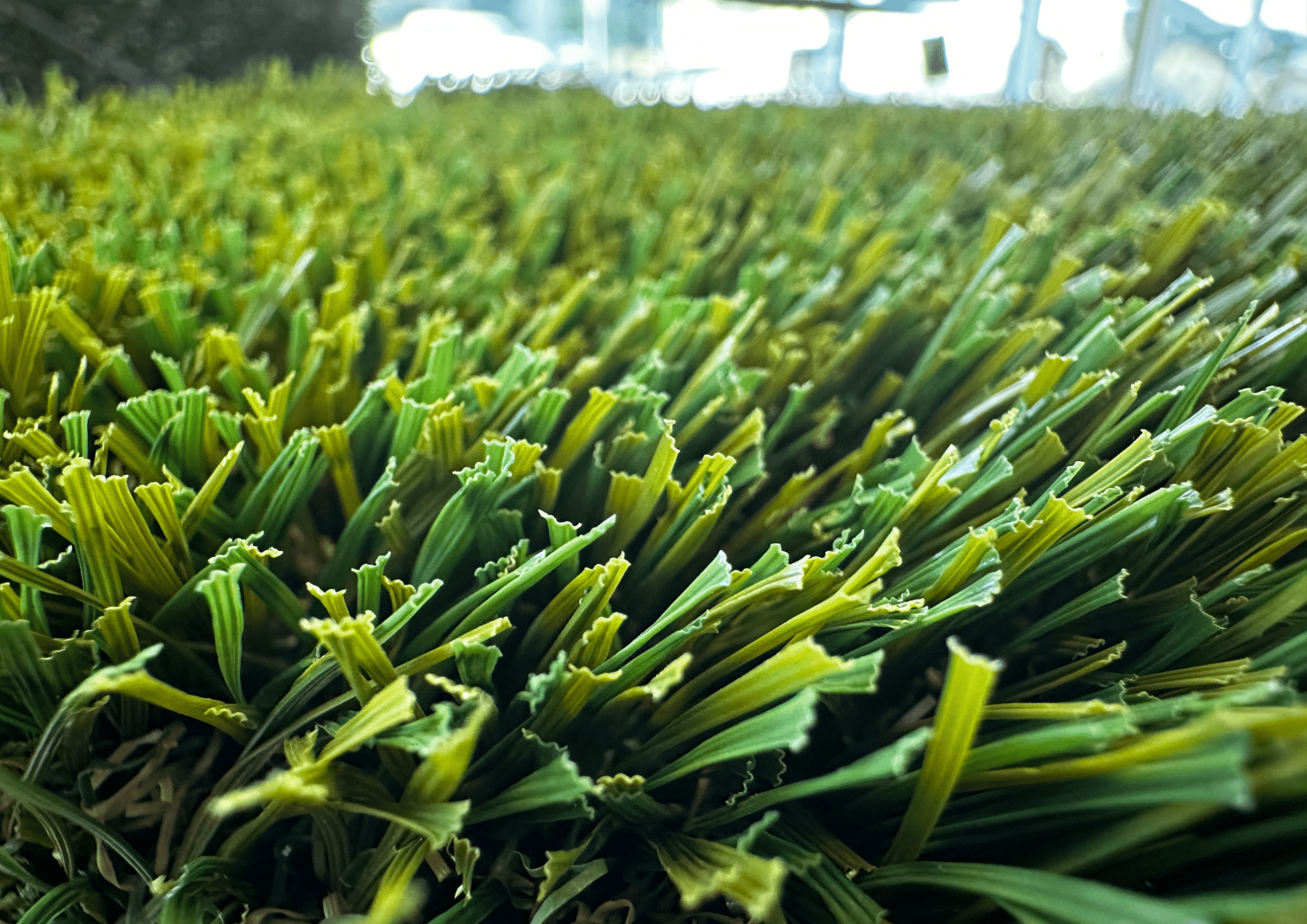 Turf in use