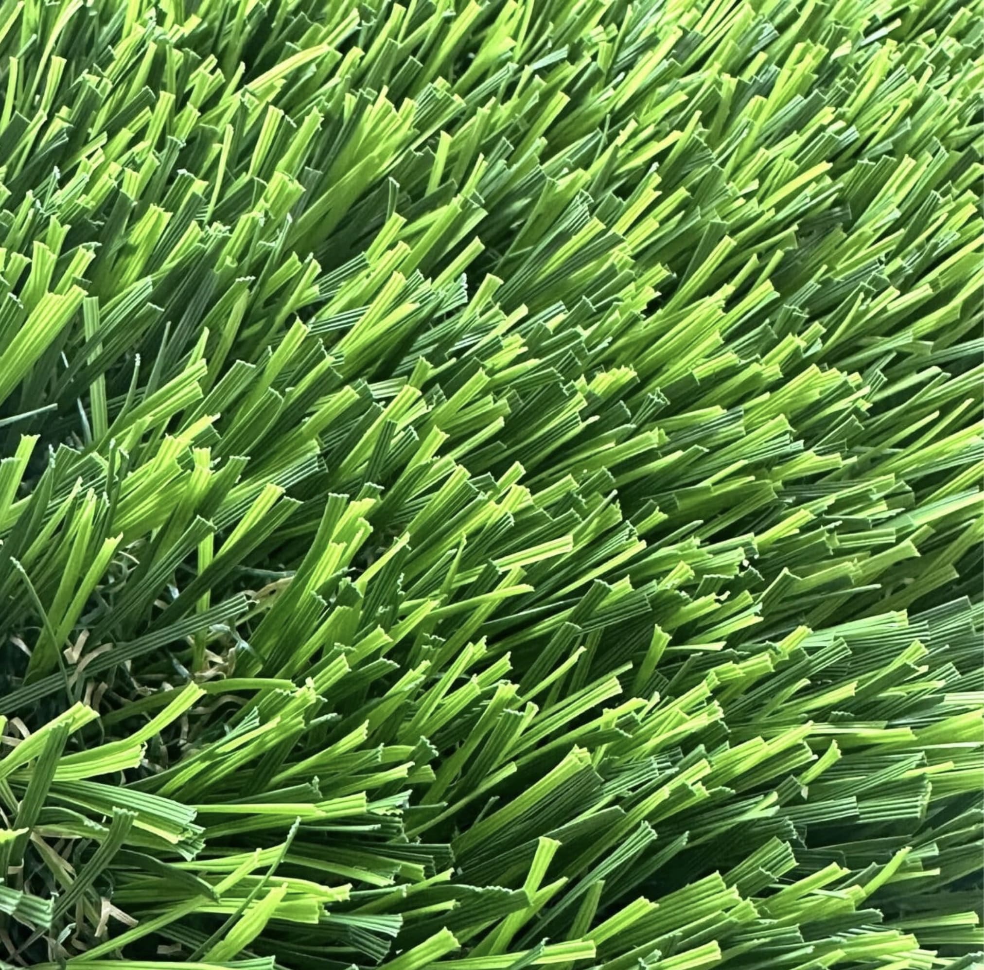 Close-up of turf