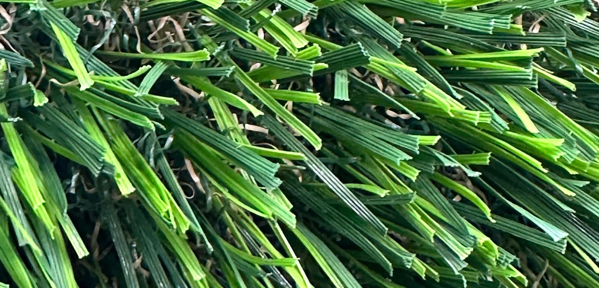 Close-up of turf