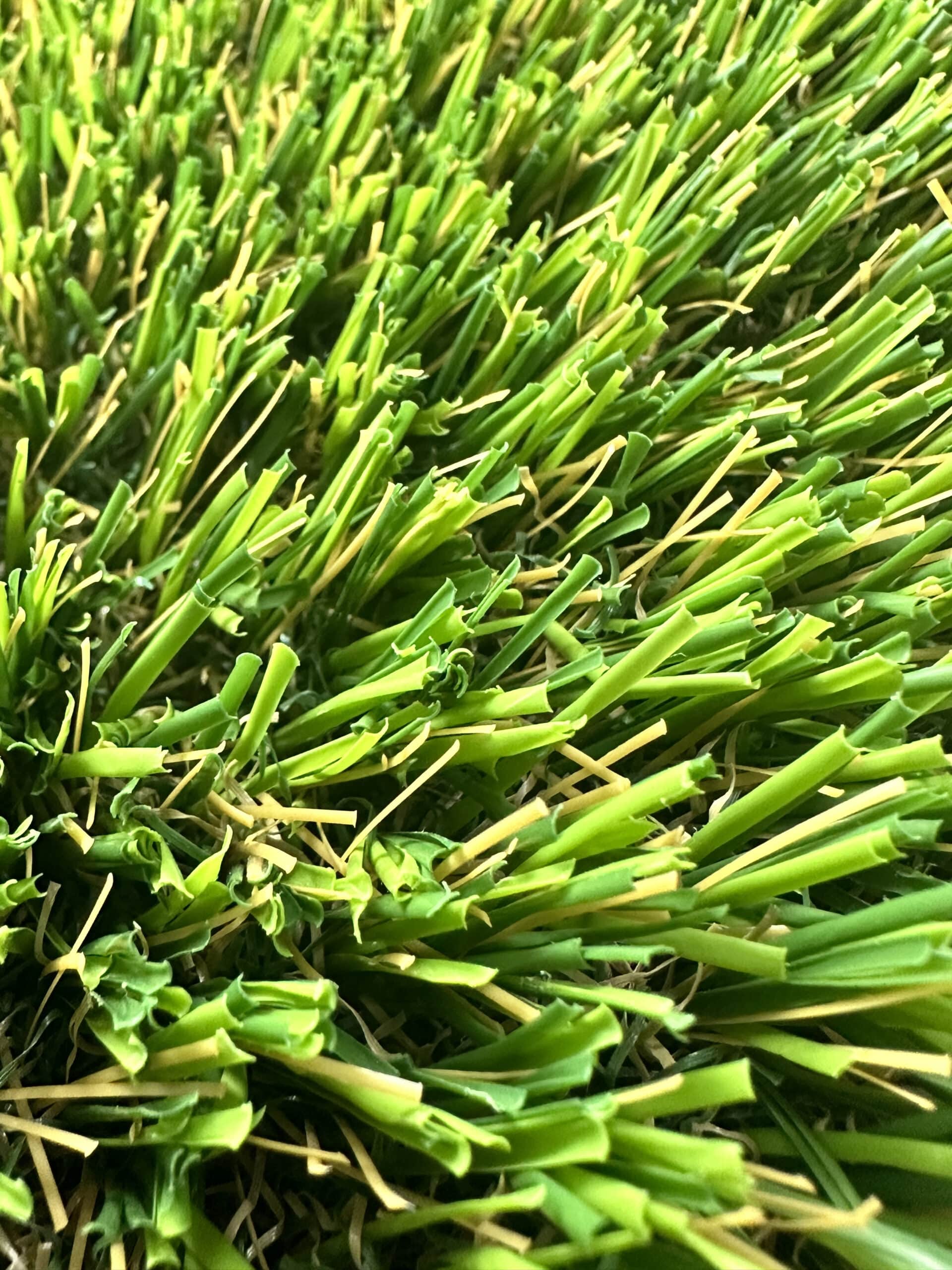 background grass