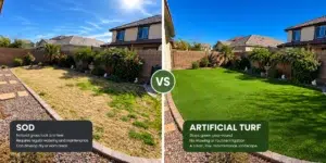 Sod vs artificial turf in an Arizona backyard