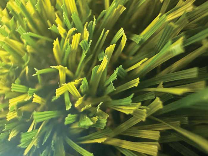 Close-up of turf