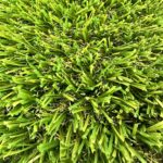 EVO 70 Olive artificial turf
