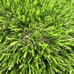 Lime 80 artificial turf