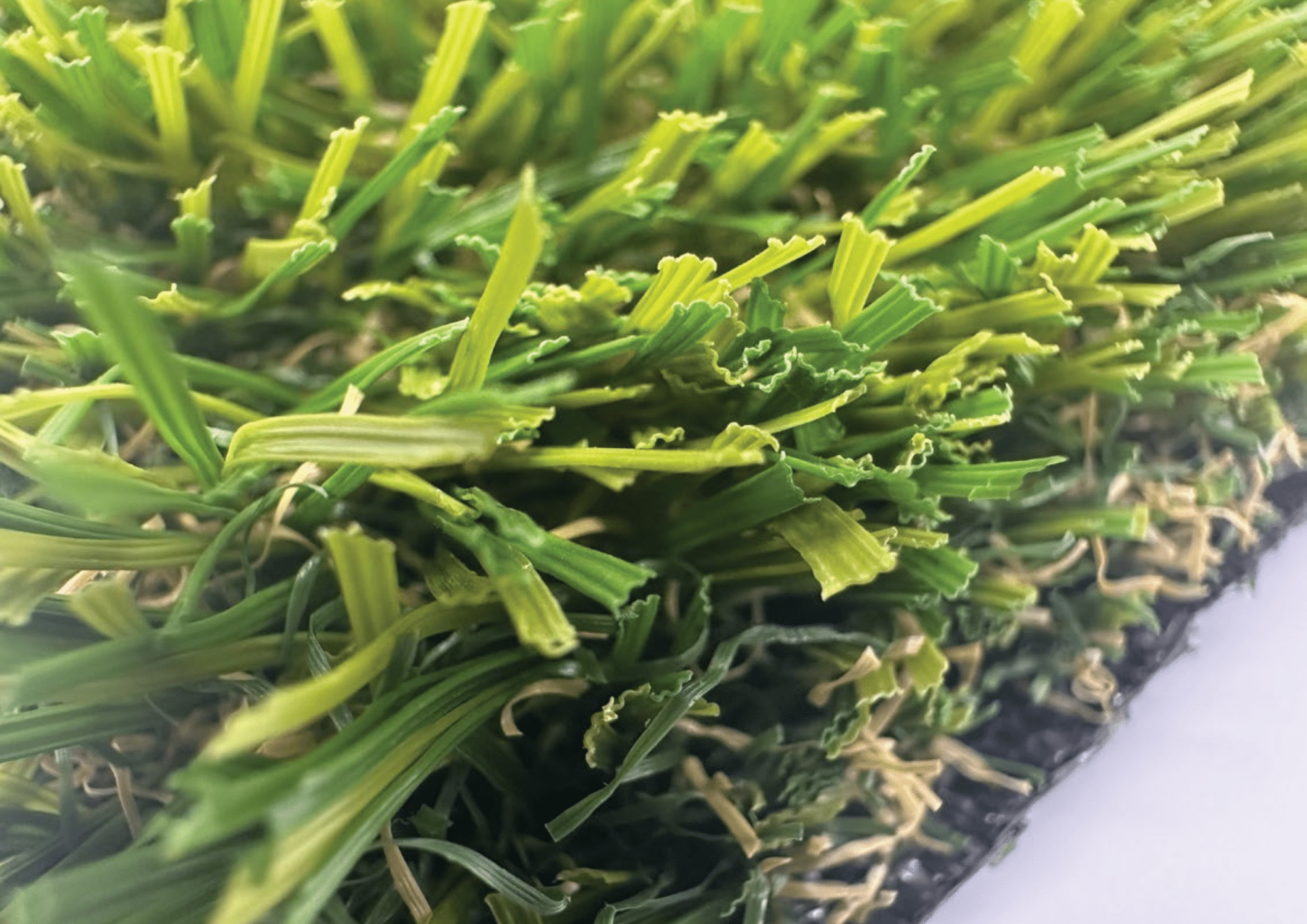 Close-up of turf