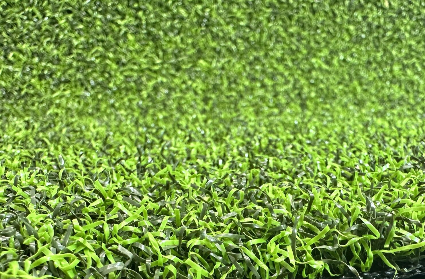 Close-up of turf