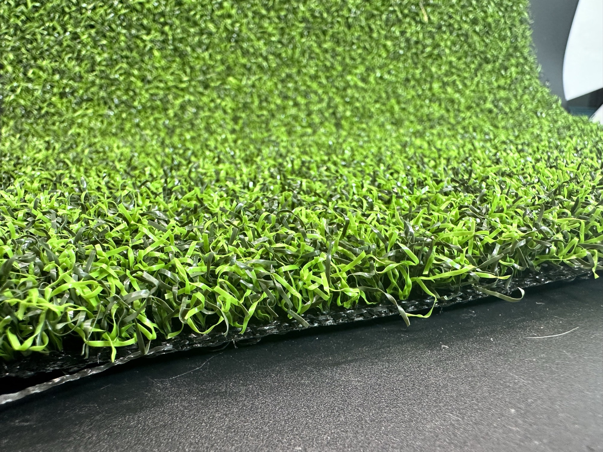Close-up of turf