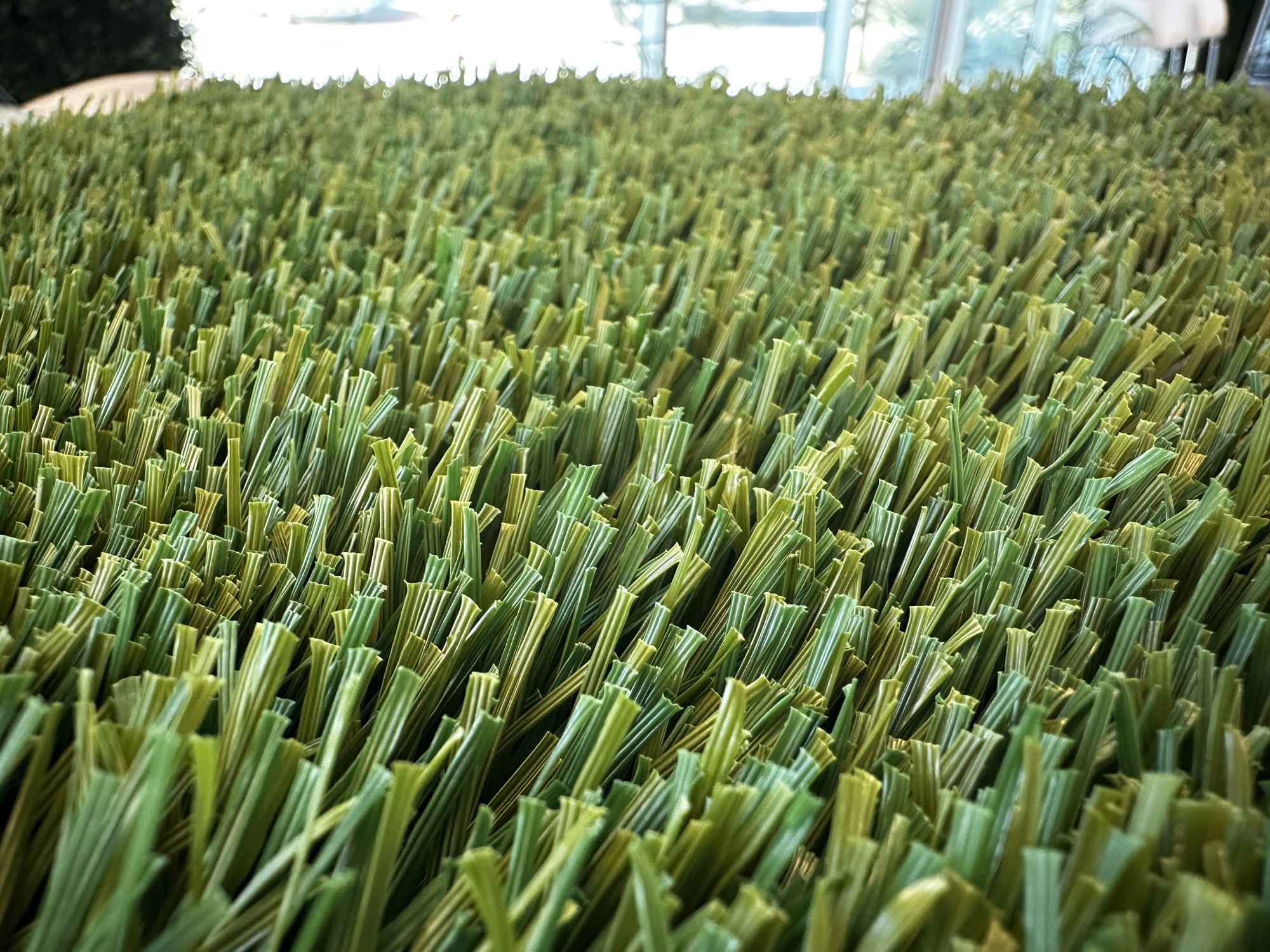 Close-up of turf