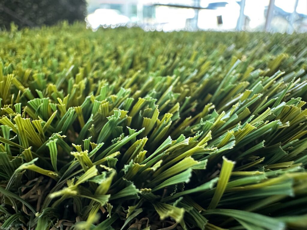 Bermuda 92 artificial turf