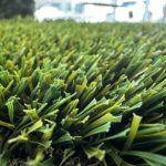 Bermuda 92 artificial turf