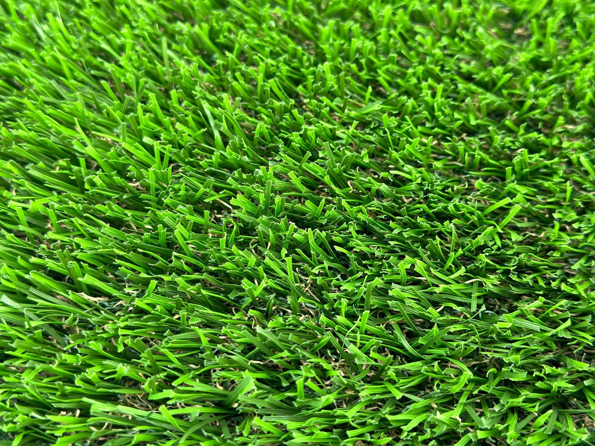 Close-up of turf