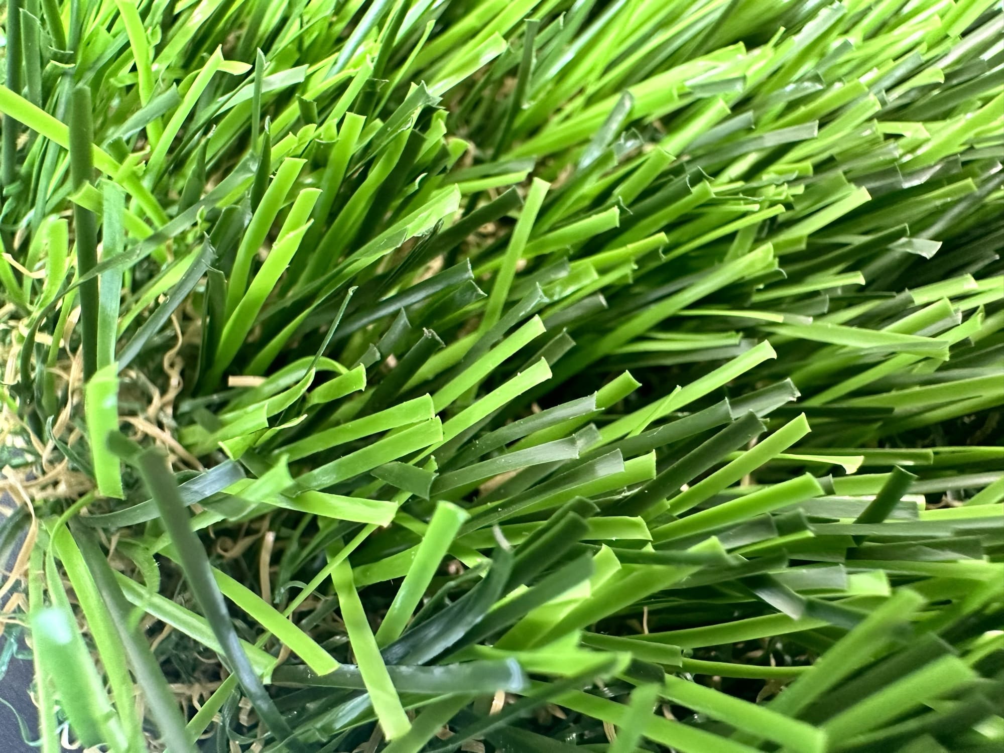 Close-up of turf