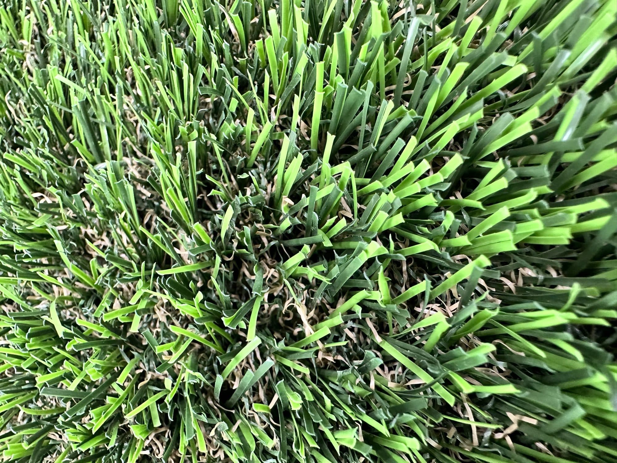 Close-up of turf