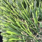 Premium 104 artificial turf blade close-up