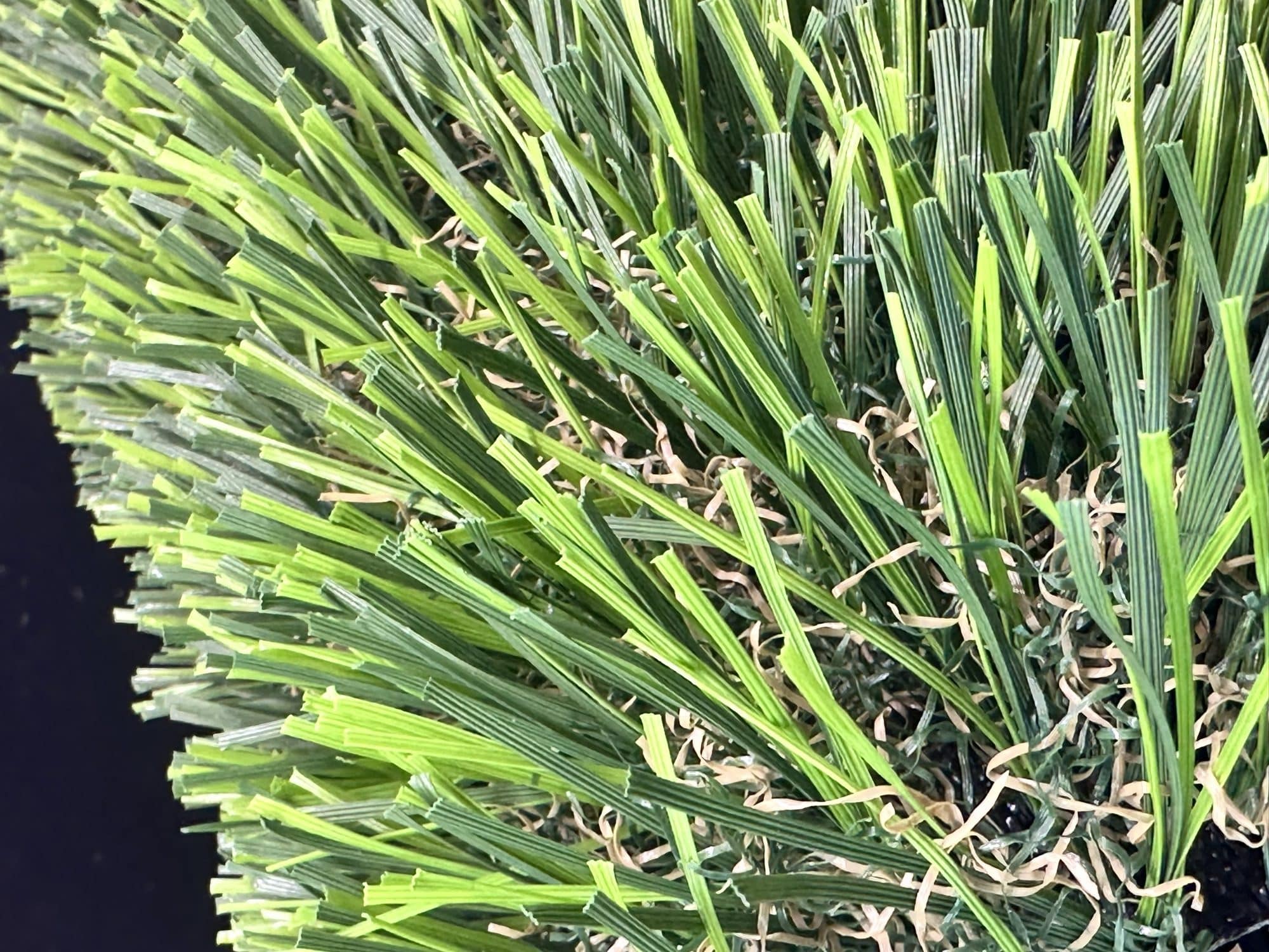 Close-up of turf