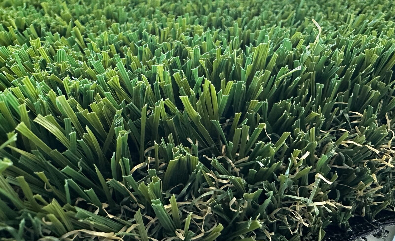 Close-up of turf