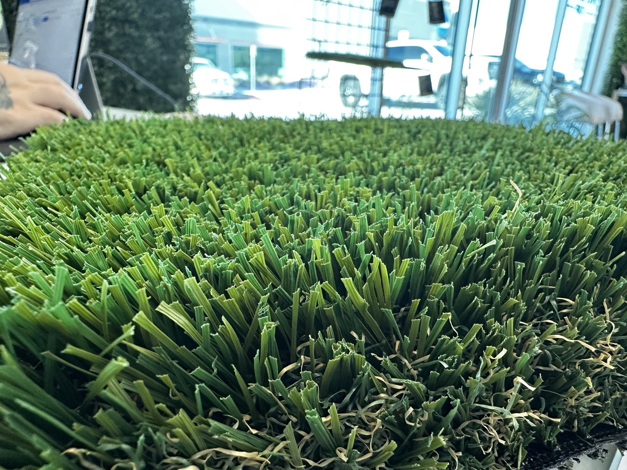 Close-up of turf