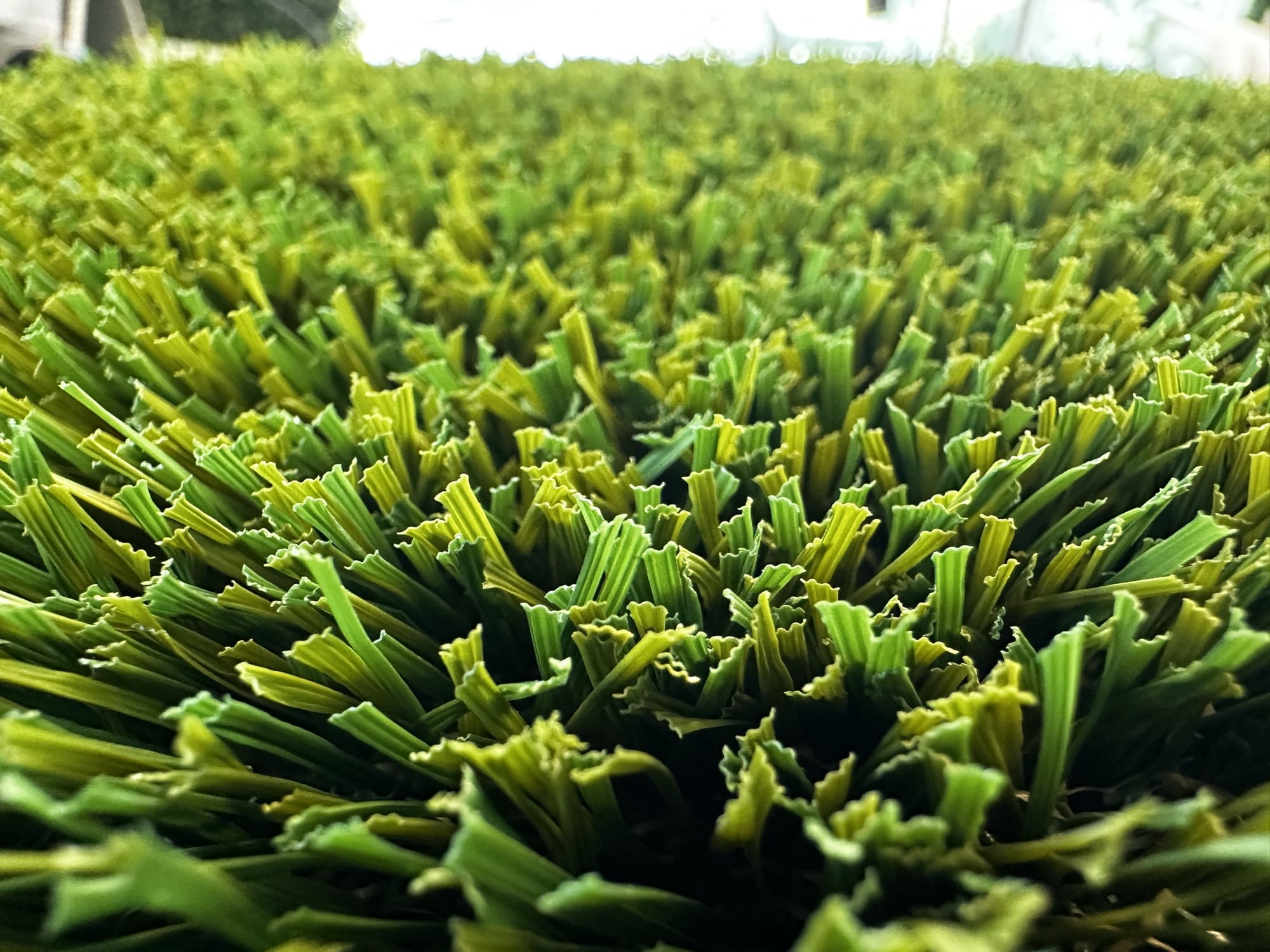 Turf in use