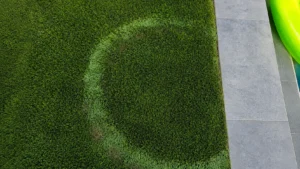 Artificial turf burn caused by a pool floatie